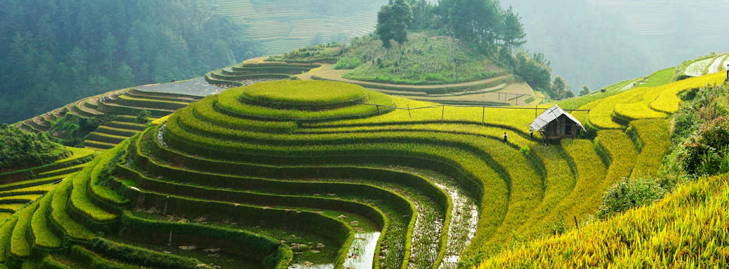 Best Vietnam Tour Packages